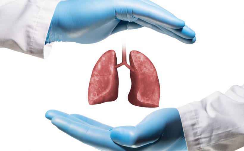 Lekarz ma pomiędzy dłońmi grafikę płuc. /Źródło: 123rf.com
